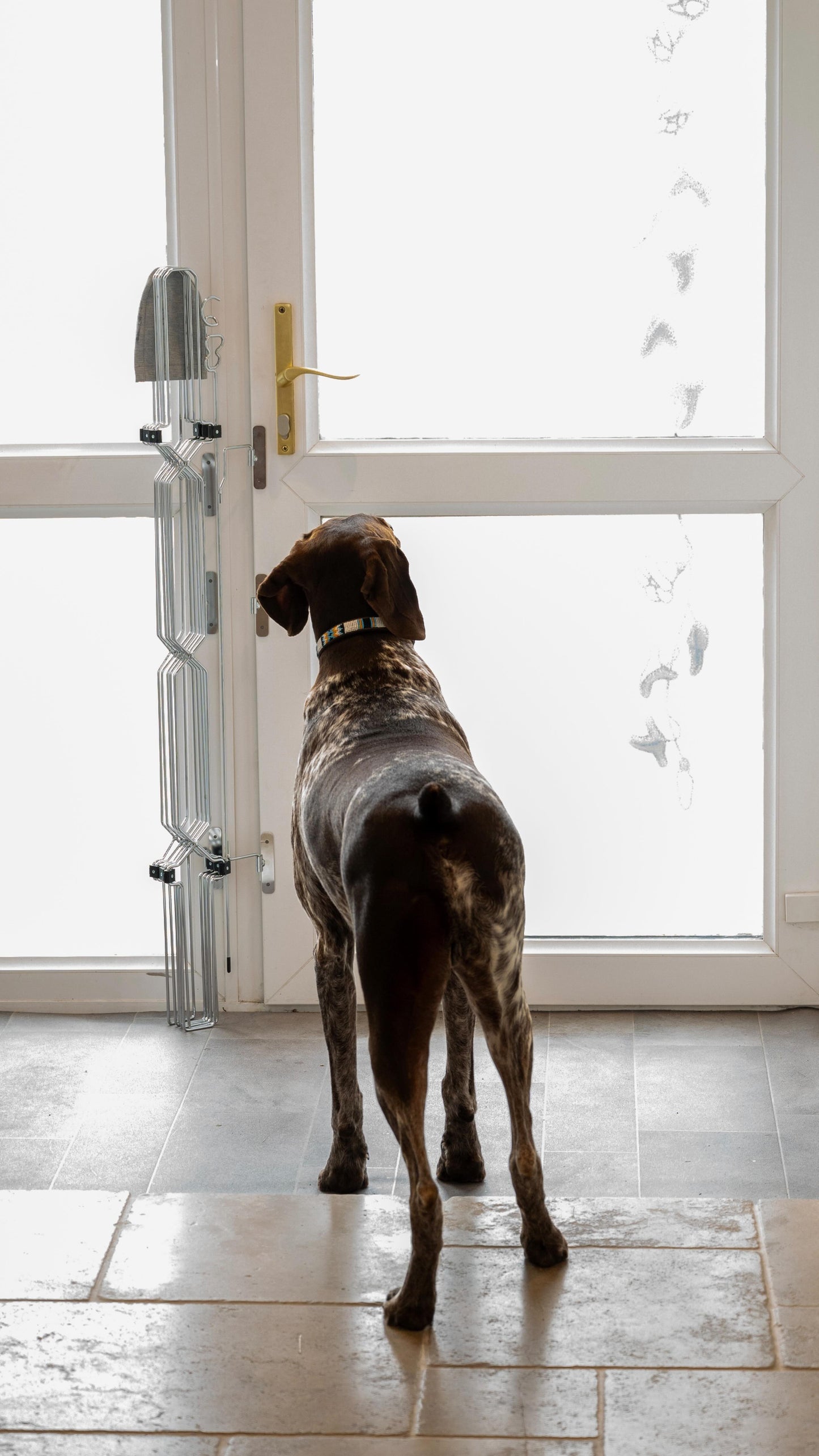 DoorGuard™ Doorway Pet Gate