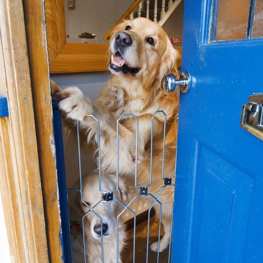DoorGuard™ Doorway Pet Gate