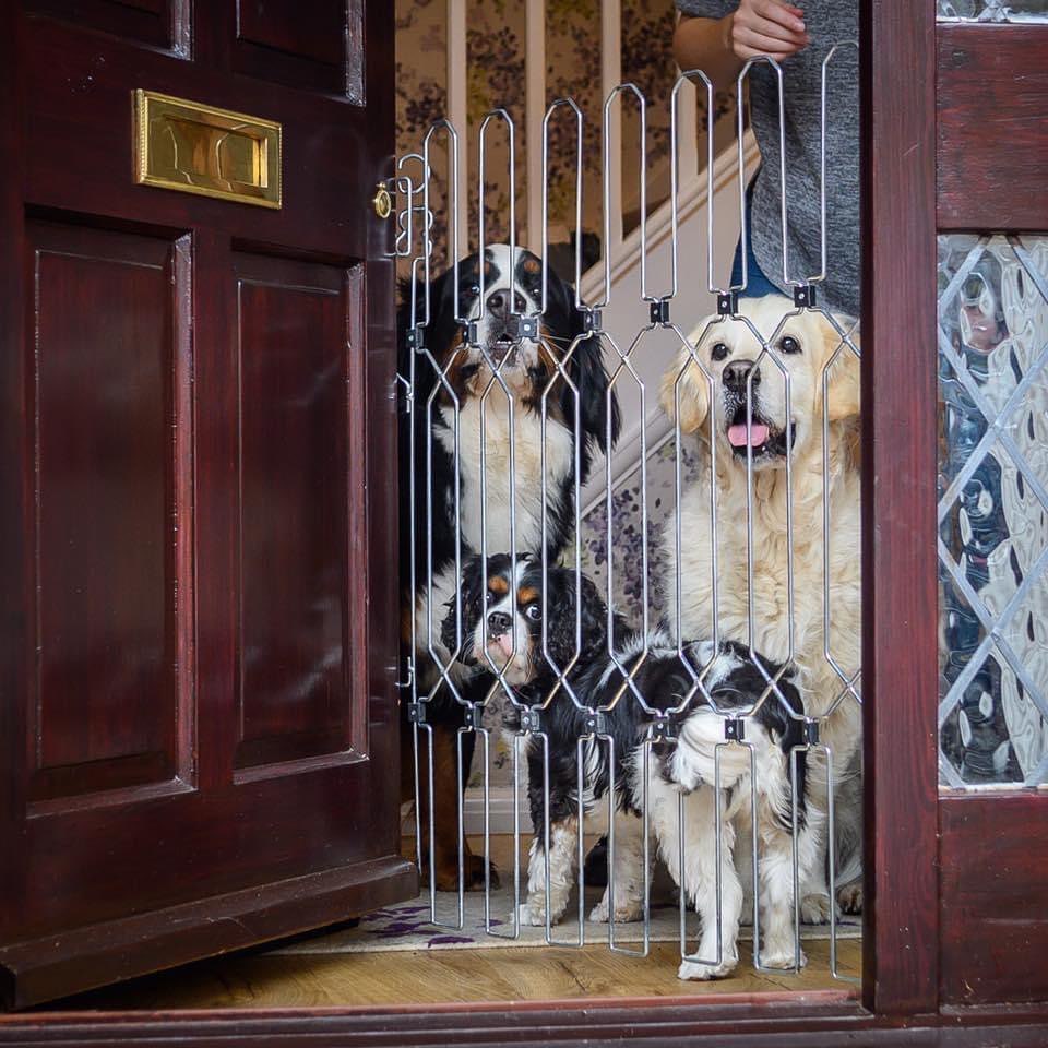 DoorGuard™ Doorway Pet Gate
